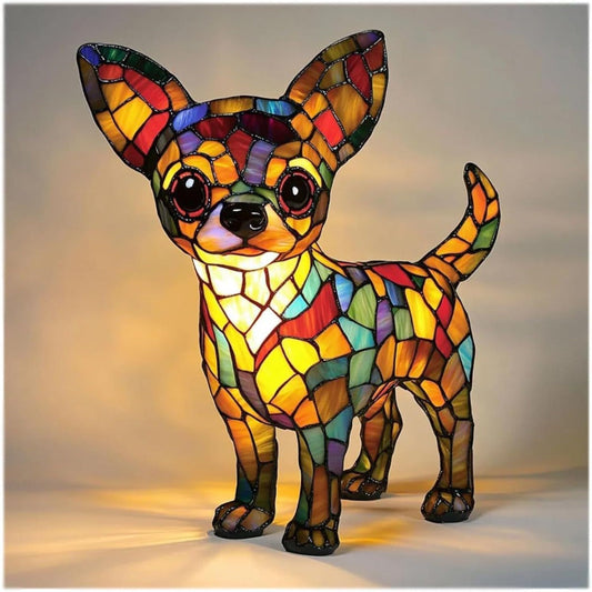 Nala - Trouwe Chihuahua