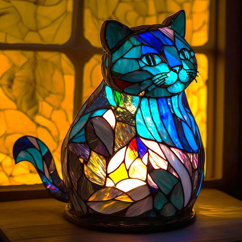 Jerry – Zachte Kat