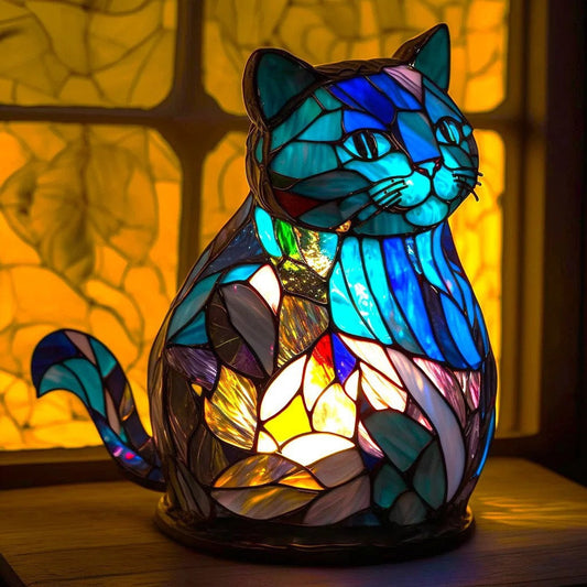 Jerry – Zachte Kat